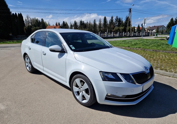 Skoda Octavia cena 49900 przebieg: 163000, rok produkcji 2018 z Siedlce małe 79